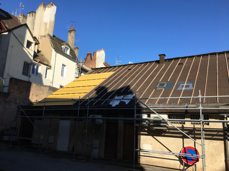 Rénovation de toiture en zinc prépatiné sur copropriété ( Passage Marcilly -Chalon sur Saône - 71)